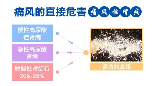 痛风的直接危害.jpg