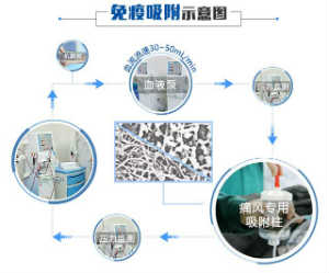 免疫吸附示意图.jpg 免疫吸附示意图.jpg