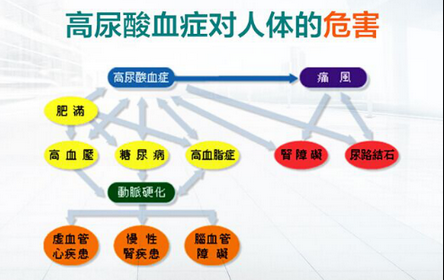 长期尿酸高的患者会伴随着哪些疾病?河南有快速降尿酸的专科医院吗